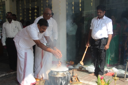 Pongal 2024 03