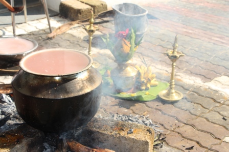 Pongal 2024 05