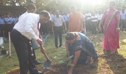 planting