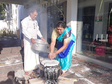 pongal DP