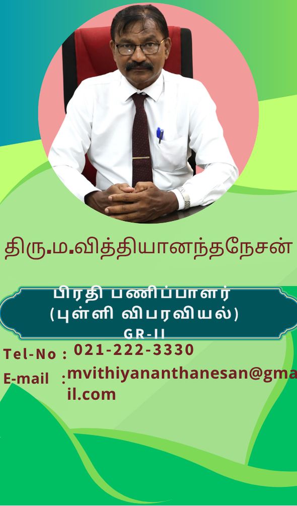 பிரதி பணிப்பாளர் புள்ளி விபரவியல்
