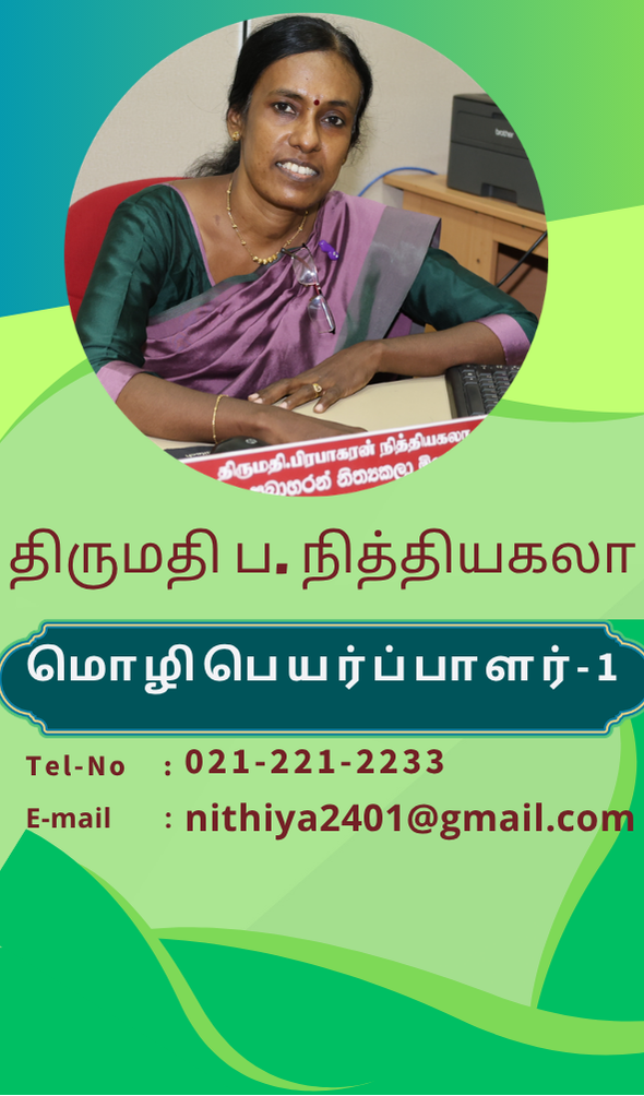 மொழிபெயர்ப்பாளர்