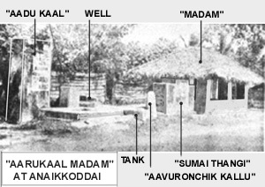 aru kaal madam3
