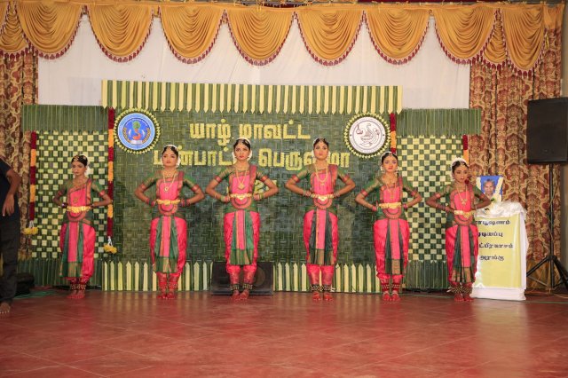 District Cultural Festival- 2024