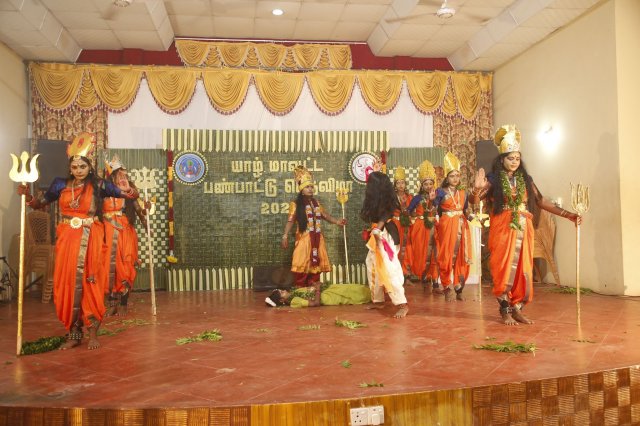 District Cultural Festival- 2024