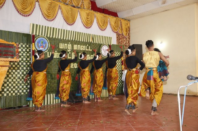 District Cultural Festival- 2024