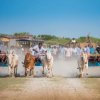 Culturel Events