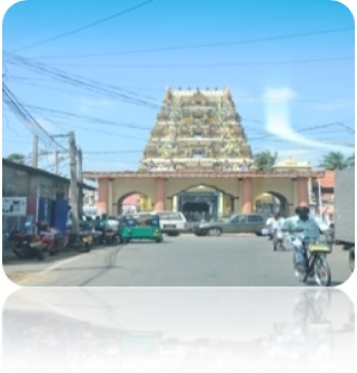 vannai vaitheeswaran